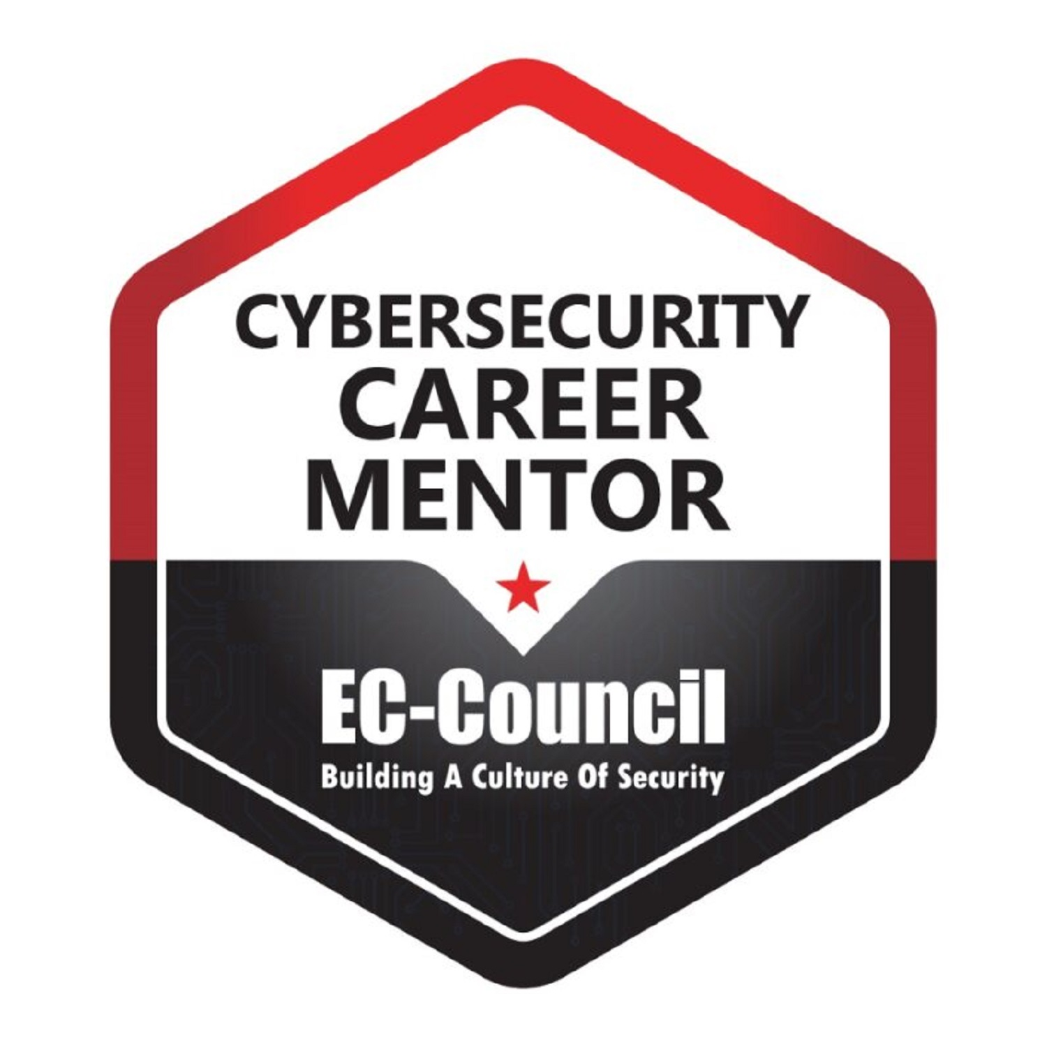 Cybersecurity Career Mentor